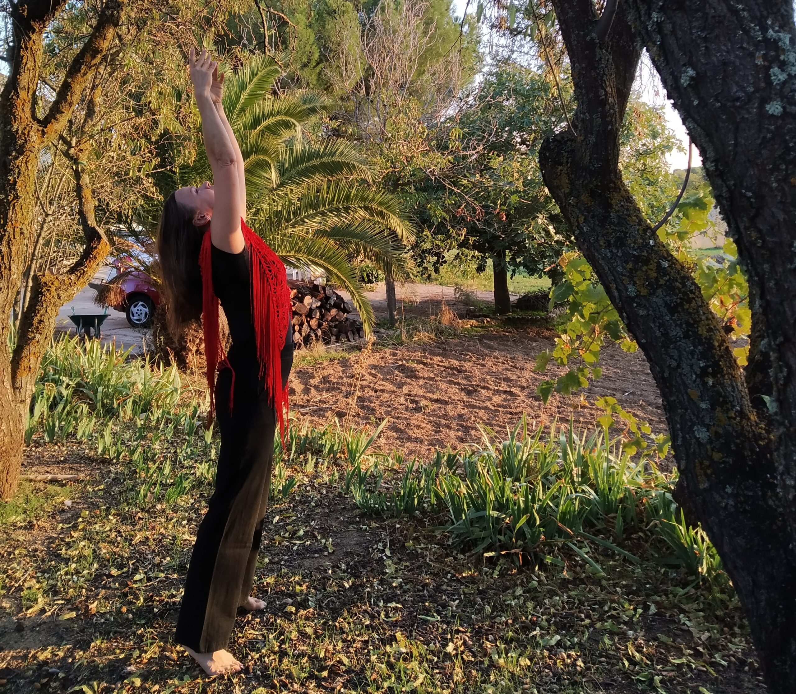 Hierbabuena flamenco